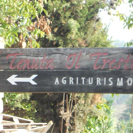 Tenuta Il Tresto Poggibonsi Extérieur photo