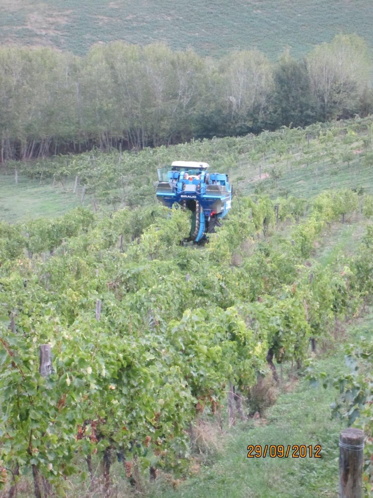 Tenuta Il Tresto Poggibonsi Extérieur photo