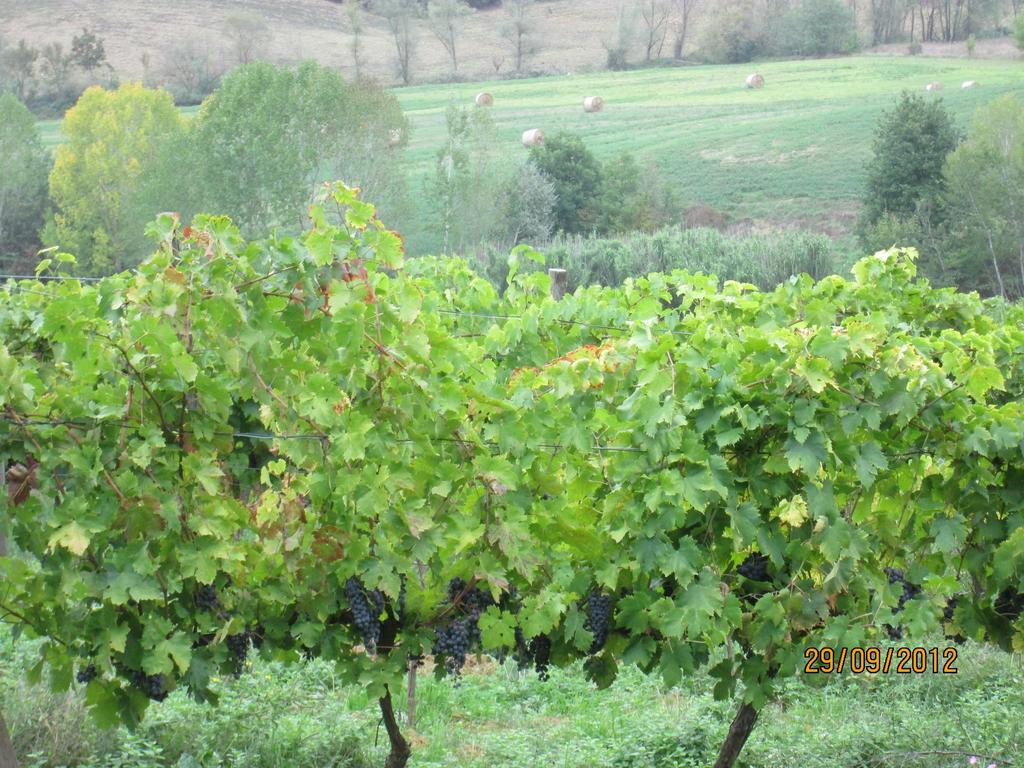 Tenuta Il Tresto Poggibonsi Extérieur photo