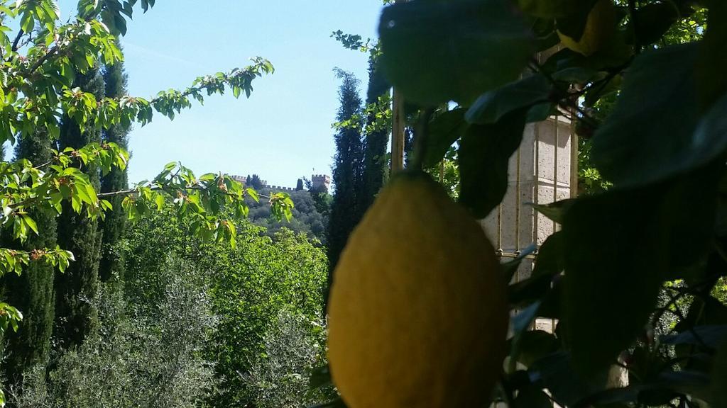 Tenuta Il Tresto Poggibonsi Extérieur photo