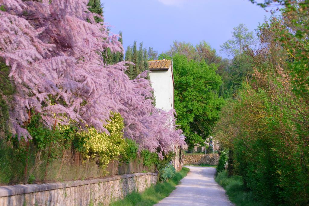 Tenuta Il Tresto Poggibonsi Extérieur photo